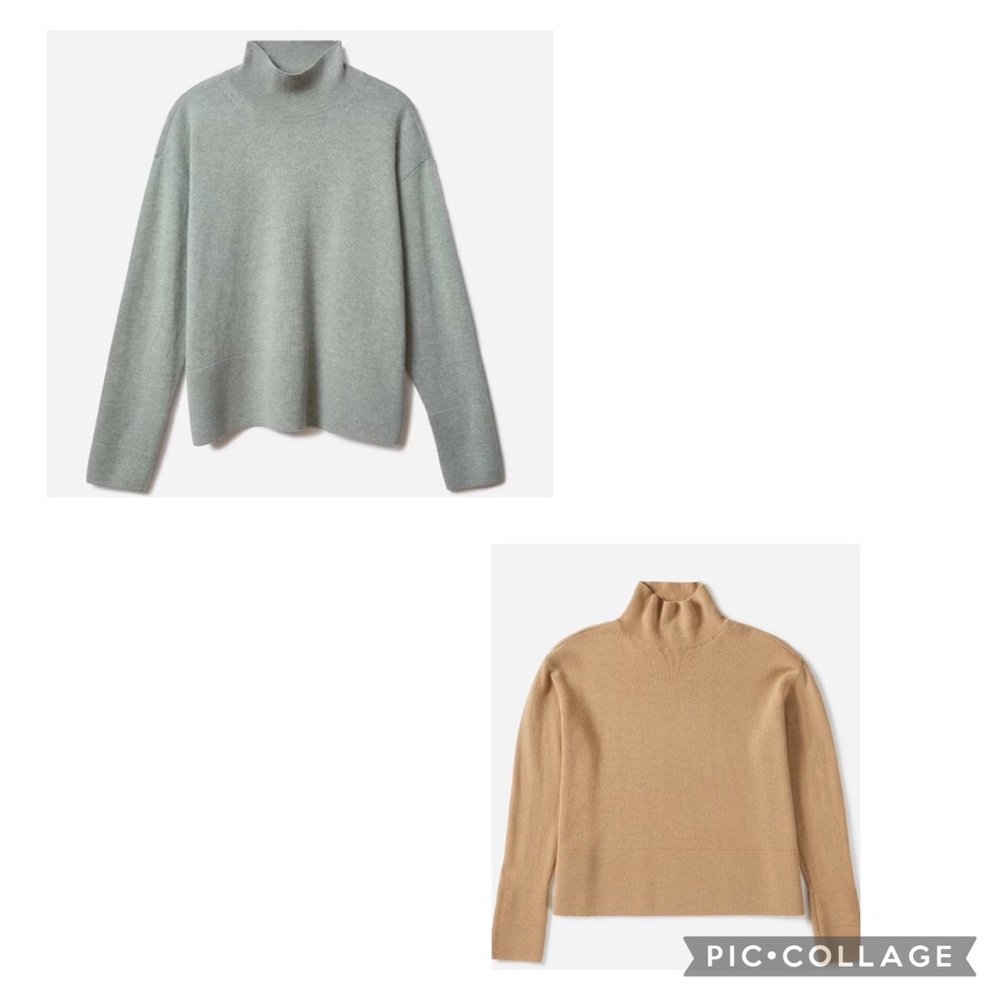 Everlane Cashmere Turtleneck Sweaters